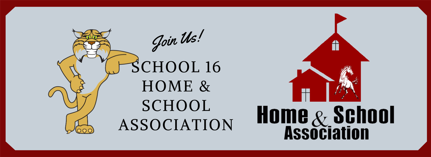 School Sixteen HSA Logo